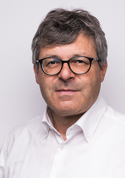 Univ.-Prof. Dr.-Ing. Martin Schmauder